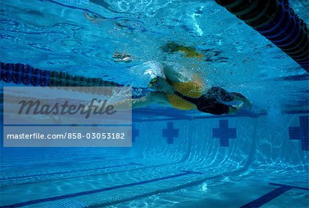 Natation (nage papillon)