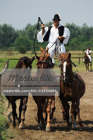 Cowboy hongrois hippique, ville de Bugaci, Parc National de Kiskunsagi, Hongrie, Europe