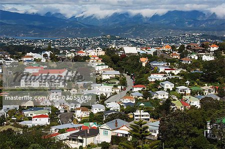Panoramic view of suburban houses, Wellington, North Island, New Zealand, Pacific