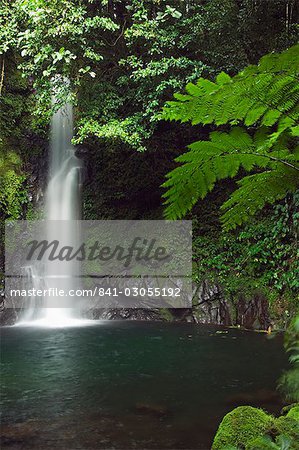 Malabsay Waterfall, Mount Isarog National Park, Bicol, southeast Luzon, Philippines, Southeast Asia, Asia