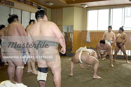 Lutteurs de sumo pratiquant, la ville de Tokyo, l'île de Honshu, Japon, Asie