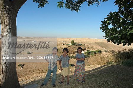 Children under tree, Apamea (Qalat at al-Mudiq), Syria, Middle East
