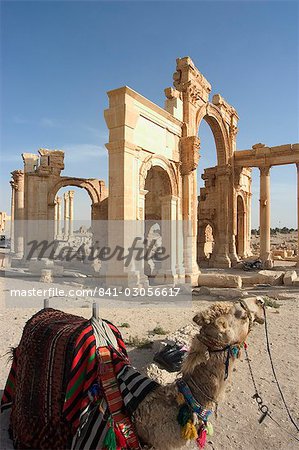 Tourist camel ride, monumental arch, archaelogical ruins, Palmyra, UNESCO World Heritage Site, Syria, Middle East