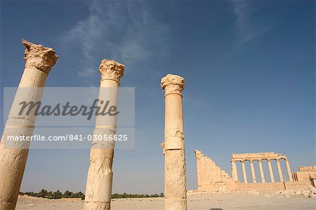 Ruines de colonnades, archéologique, Palmyre, patrimoine mondial de l'UNESCO, la Syrie, Moyen-Orient