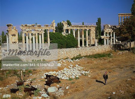 Temple de Vénus, Baalbek, Liban, UNESCO World Heritage Site, Moyen Orient