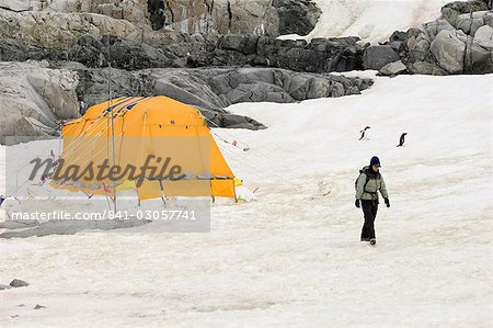 Scientists camp, Petermann Island, Lemaire Channel, Antarctic Peninsula, Antarctica, Polar Regions