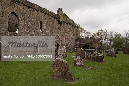 Jerpoint Abbey, County Kilkenny, Leinster, Republic of Ireland (Eire), Europe