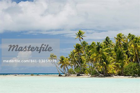 Blue Lagoon, Rangiroa, Tuamotu archipel, Polynésie française, îles du Pacifique, du Pacifique