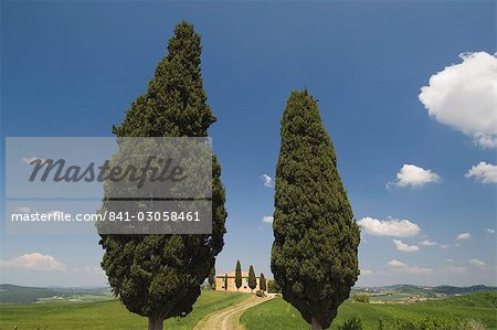 Campagne près de Pienza, Val d'Orcia, province de Sienne, Toscane, Italie, Europe