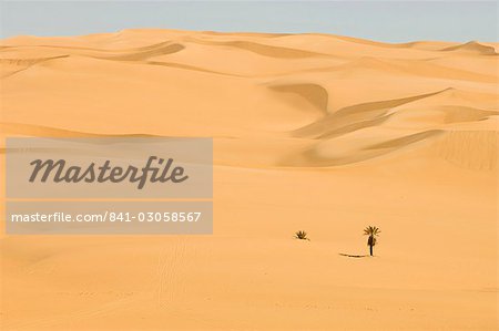 Erg Awbari, Sahara desert, Fezzan (Libye), l'Afrique du Nord, Afrique