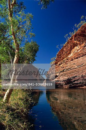 Hamersley Gorge, Karijini National Park, Pilbara, Western Australia, Australia, Pacific Hamersley Gorge, Karijini National Park, Pilbara, Western Australia, Australia, Pacific