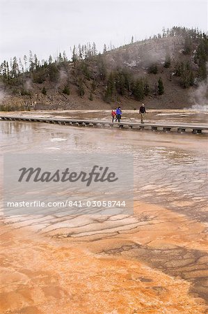 Niedrigere Geyser Basin, Yellowstone National Park, UNESCO World Heritage Site, Wyoming, Vereinigte Staaten, Nordamerika