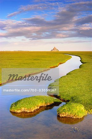 Marais salant et le Mont Saint Michel en arrière-plan, Normandie, France