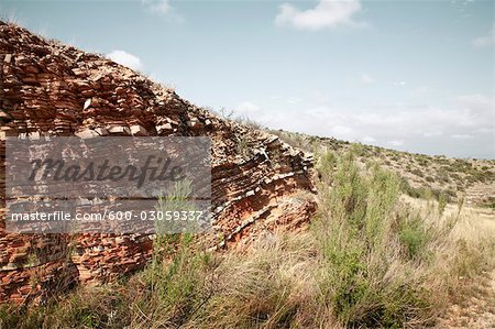 Gros plan de roches et plantes, route 67, Texas, USA