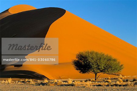Sand dune, Sossusvlei dune field, Namib-Naukluft Park, Namib Desert, Namibia, Africa
