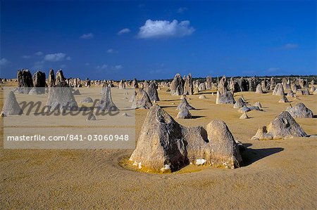 Piliers de calcaire dans le désert des Pinnacles, Parc National de Nambung, Australie-occidentale, Australie, Pacifique