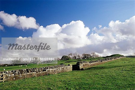 Birdoswald Fort, Roman Wall, Hadrian's Wall, UNESCO World Heritage Site, Northumbria, England, United Kingdom, Europe