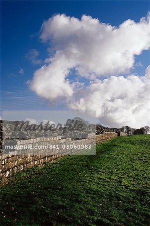 Mur d'Hadrien, mur d'Hadrien, patrimoine mondial de l'UNESCO, Birdoswald, Northumbria, Angleterre, Royaume-Uni, Europe