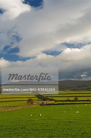 Dry stone walls below the Pennines, Eden Valley, Cumbria, England, United Kingdom, Europe