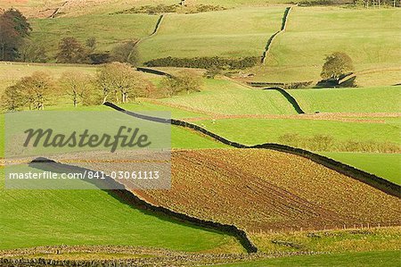 Patchwork de champs, plus faibles pentes des Pennines, Eden Valley, Cumbria, Angleterre, Royaume-Uni, Europe