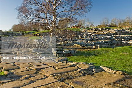 Pavée de colonie romaine routes, Via Praetoria et quarts de soldats et fort de Vindolanda, Roman Wall Sud, patrimoine mondial de l'UNESCO, Northumbria, Angleterre, Royaume-Uni, Europe