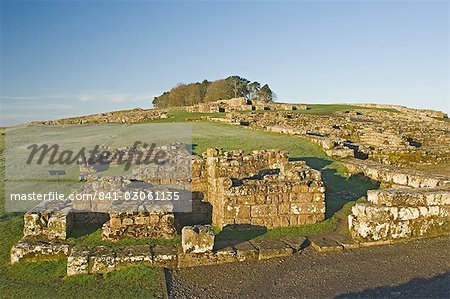 Partie d'un Fort romain Housesteads, recherchant à Housesteads Wood, mur d'Hadrien, UNESCO World Heritage Site, Northumbria, Angleterre, Royaume-Uni, Europe