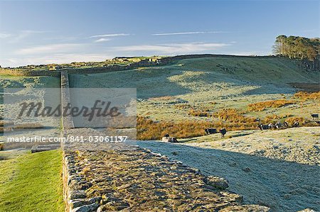 Mur d'Hadrien et Housesteads Fort romain, UNESCO World Heritage Site, Northumbria, Angleterre, Royaume-Uni, Europe