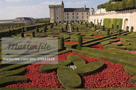 Part of the extensive flower and vegetable gardens, Chateau de Villandry, UNESCO World Heritage Site, Indre-et-Loire, Loire Valley, France, Europe