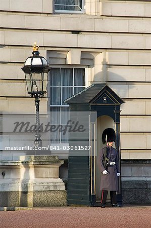 Guardsman, Buckingham Palace, London, England, United Kingdom, Europe