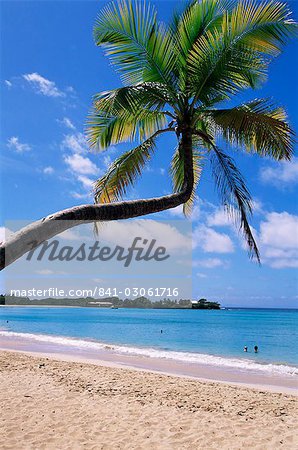 Les Salines Strand, in der Nähe von Sainte Anne, Martinique, kleine Antillen, Karibik, Caribbean, Mittelamerika