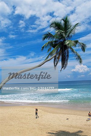 Palm tree et noix de coco vendeur Hikkaduwa beach, Sri Lanka, Asie