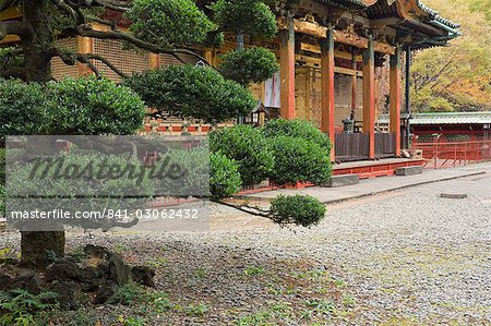 Ueno Toshogu Shrine, Tokyo, Central Honshu (Chubu), Japan, Asia