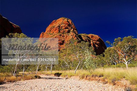 Bungle Bungle, Parc National de Purnululu, Site du patrimoine mondial de l'UNESCO, Kimberley, Australie-occidentale, Australie, Pacifique Bungle Bungle, Parc National de Purnululu, Site du patrimoine mondial de l'UNESCO, Kimberley, Australie-occidentale, Australie, Pacifique