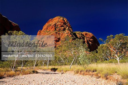 Bungle Bungle, Parc National de Purnululu, Site du patrimoine mondial de l'UNESCO, Kimberley, Australie-occidentale, Australie, Pacifique