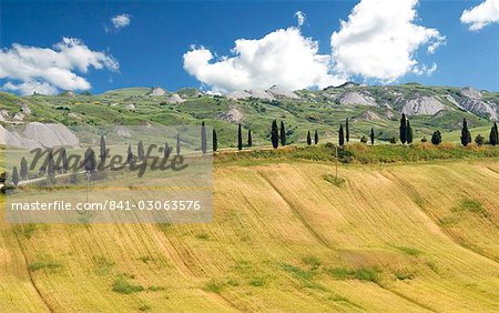 Crete Senesi area, near Asciano, Siena Province, Tuscany, Italy, Europe