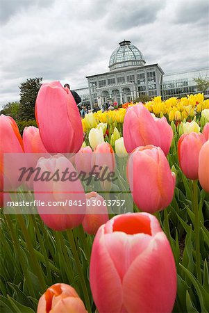 Lewis Ginter Botanical Garden, Richmond, Virginia, United States of America, North America