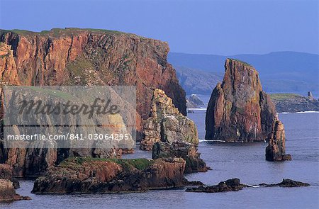 Falaises de Stoura Pund et cheminées de grès rouge, Eshaness, Northmavine, îles Shetland, Ecosse, Royaume-Uni, Europe Falaises de Stoura Pund et cheminées de grès rouge, Eshaness, Northmavine, îles Shetland, Ecosse, Royaume-Uni, Europe