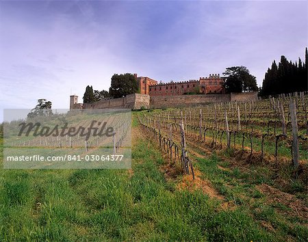 Castello di Brolio and famous vineyards, Brolio, Chianti, Tuscany, Italy, Europe