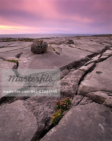 Limestone plateau at sunset, karstic landscape, Burren region, County Clare, Munster, Republic of Ireland, Europe