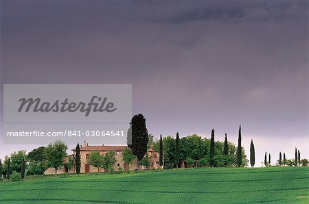 La ferme et des cyprès centenaires, près de Pienza, Toscane, Italie, Europe