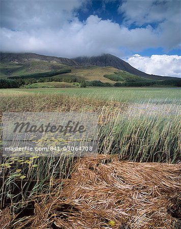 Red Cuillins plage, île de Skye, Hébrides intérieures en Écosse, Royaume-Uni, Europe Red Cuillins plage, île de Skye, Hébrides intérieures en Écosse, Royaume-Uni, Europe