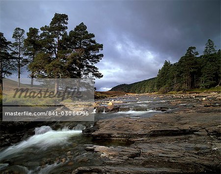 Schottische Pinien und oberen Dee-Tal in der Nähe von Inverey, Aberdeenshire, Hochlandregion, Schottland, Vereinigtes Königreich, Europa