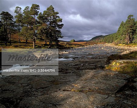 Schottische Pinien und oberen Dee-Tal in der Nähe von Inverey, Aberdeenshire, Hochlandregion, Schottland, Vereinigtes Königreich, Europa