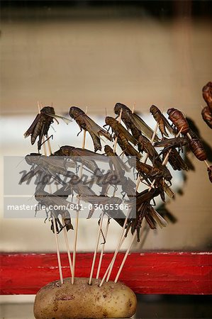 Chinese food, crickets, Beijing, China, Asia