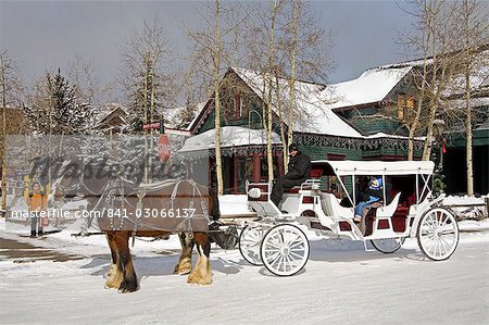 Pferd und Wagen, Breckenridge, Rocky Mountains, Colorado, Vereinigte Staaten von Amerika, Nordamerika