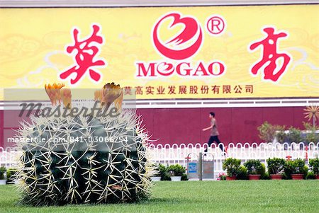 Giant plastic cactus, Lanzhou, Gansu, China, Asia