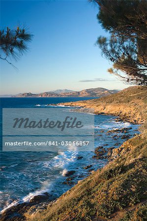 Côte près L'lle Rousse, Corse, Méditerranée, Europe