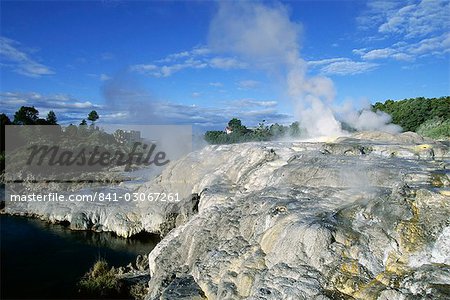 Mineral terraces around geysers, Whakarewarewa thermal area, Rotorua, South Auckland, North Island, New Zealand, Pacific