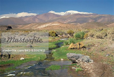 Stream in the Atacama Desert with the Andes on the horizon, San Pedro de Atacama region, Chile, South America