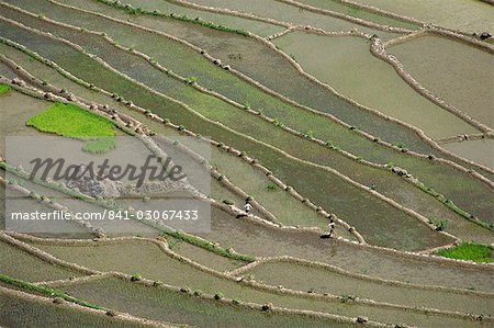 Aériennes des rizières en terrasses autour du village de Batad, dans la Province de montagne dans le nord de Luzon island, Philippines, Asie du sud-est, Asie